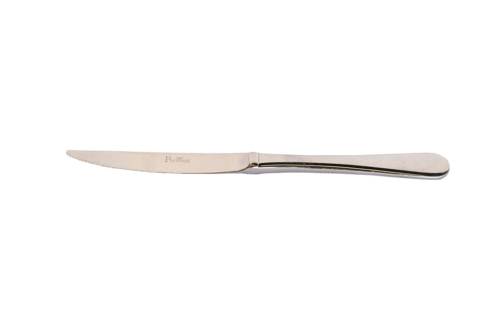 Cuchillo punta carne inox